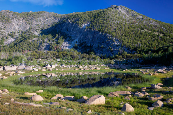 A view of the alpine lakes in the Pine Forest Range Wilderness