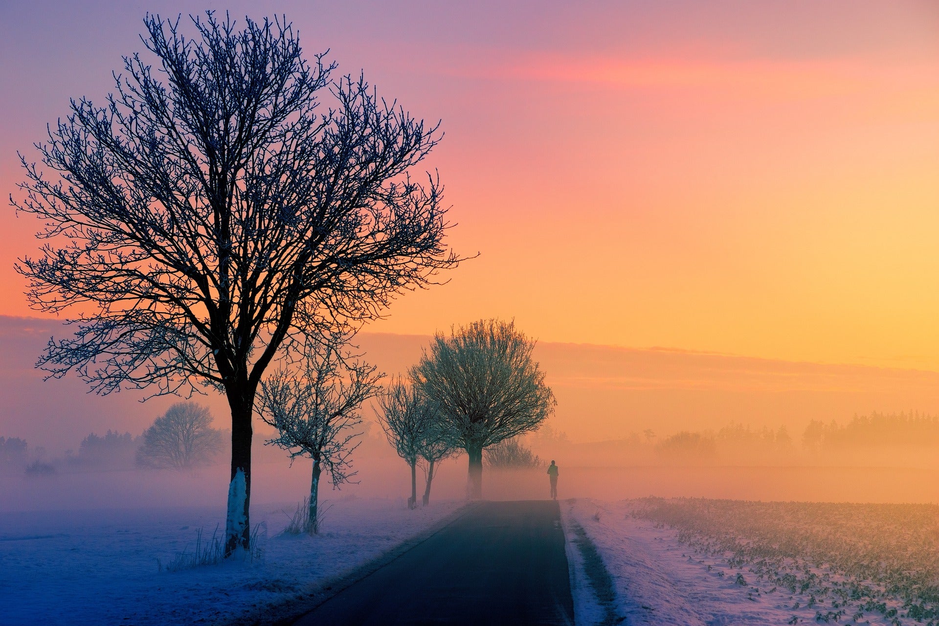 Nebellandschaft im Winter