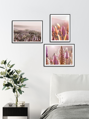 The Australian Wildflowers Gallery Set of 3 |A4 Gallery Art Collection Series