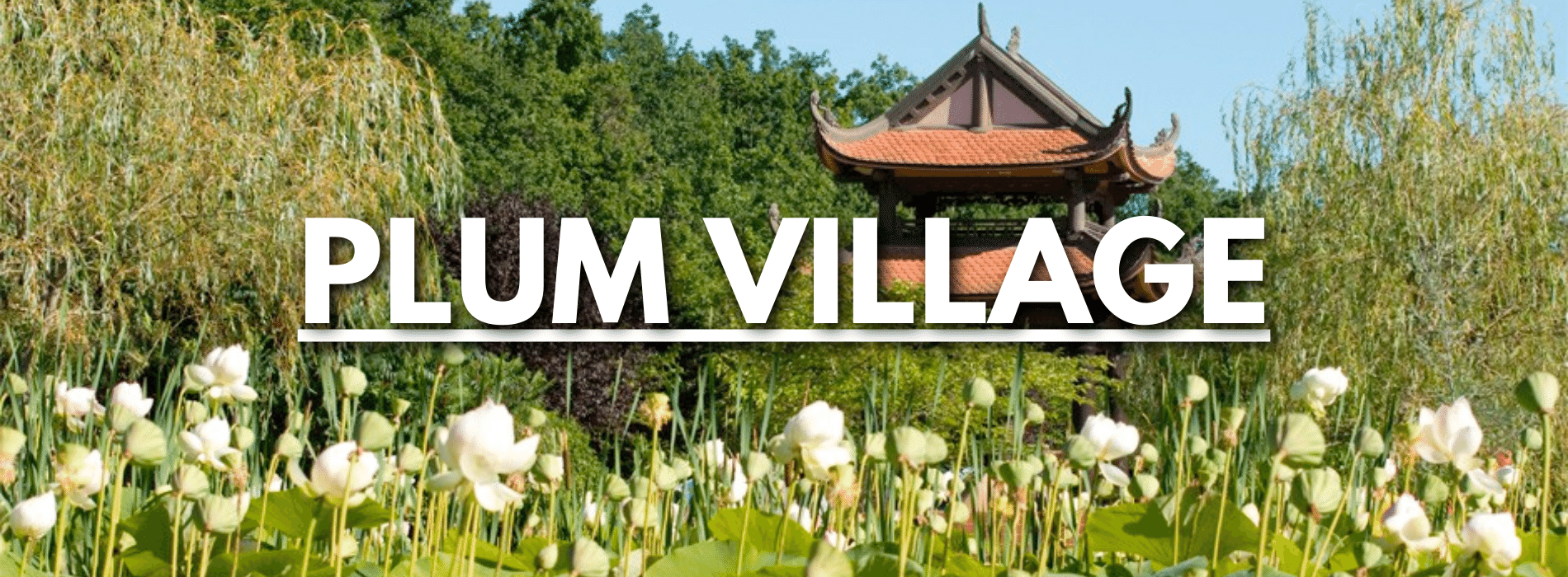 Plum-Village-des-Pruniers