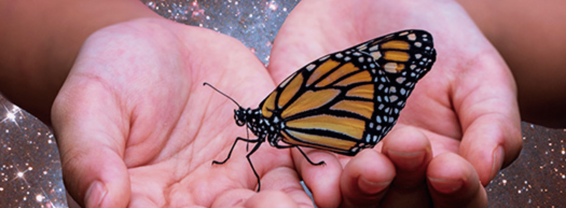 ¿Qué emociones simbolizan las mariposas?
