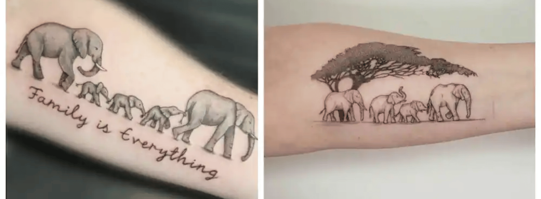Significado del tatuaje de elefante