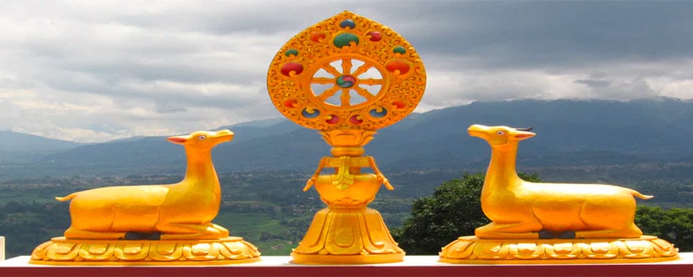 la rueda del Dharma Chakra