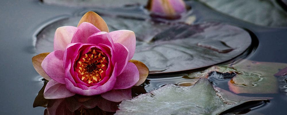 Porte-clés fleur de vie feuille de lotus symbole Om argenté BIJOUX A OFFRIR