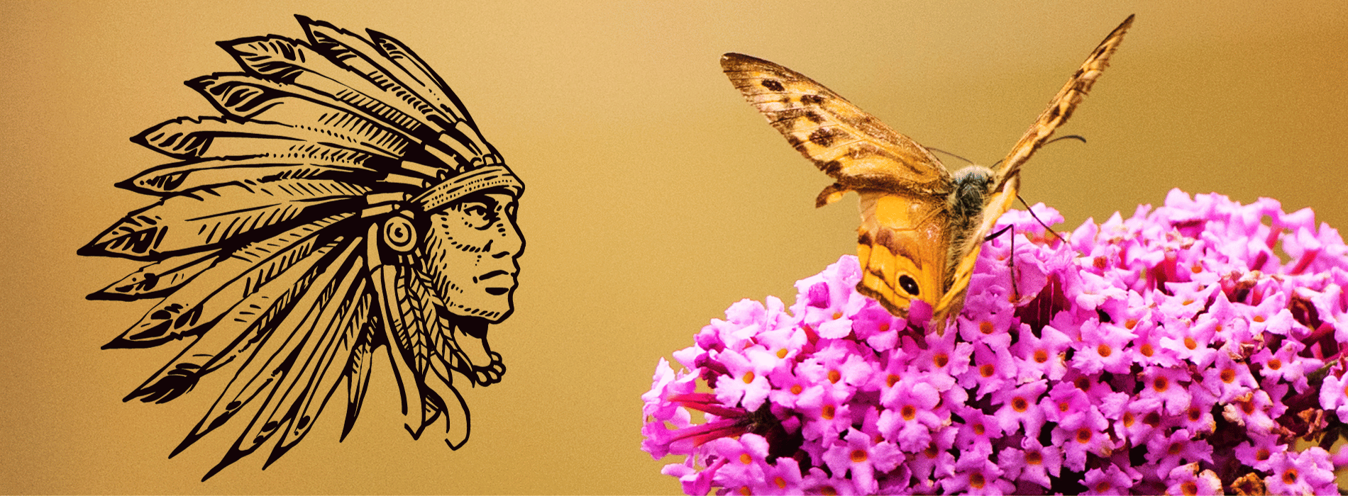 Symbolik des indianischen Schmetterlings