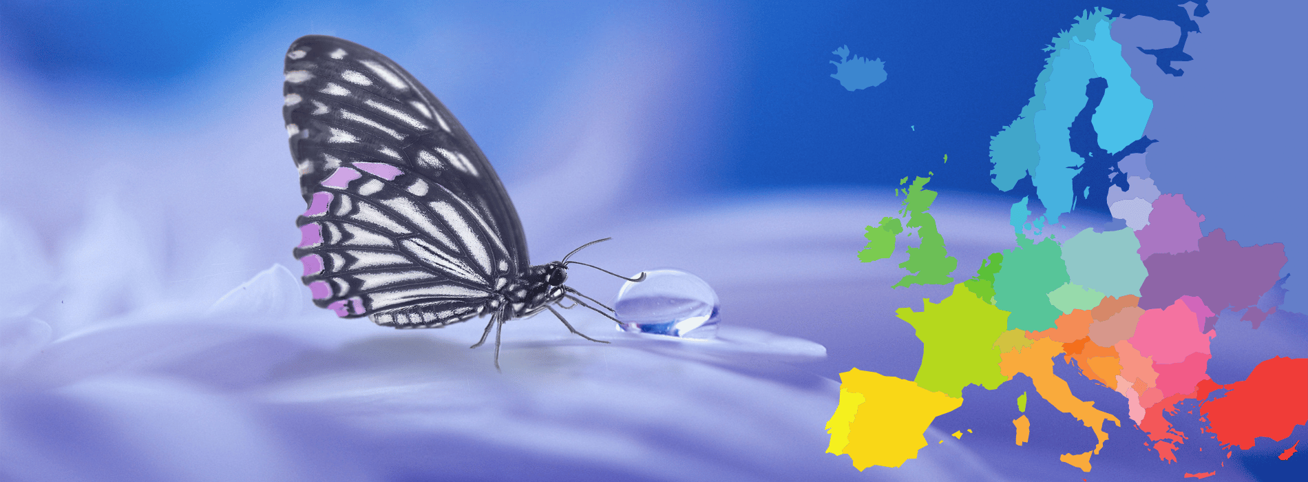 simbolismo de la mariposa europa