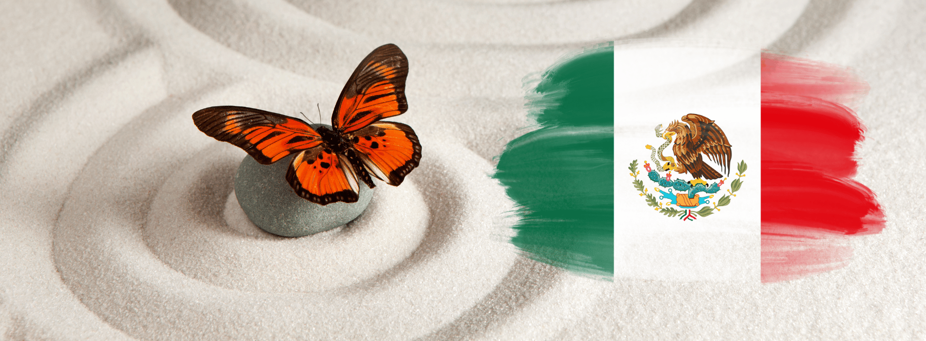 simbolismo de la mariposa mexicana