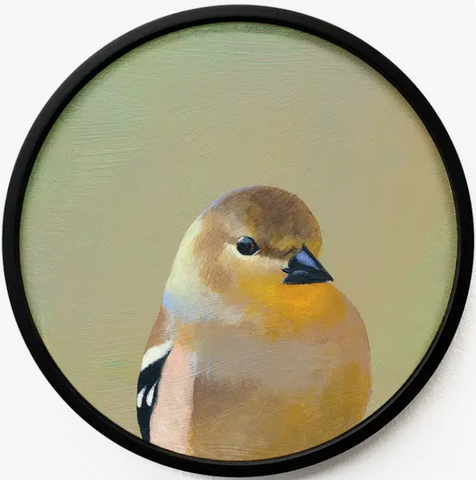 Wall Art GOLDFINCH ON 8IN ROUND FRAMED WOOD PANEL BY THE MINCING MOCKINGBIRD