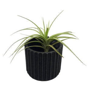 Planters - Mini Stockholm (Black) by Minimum Design