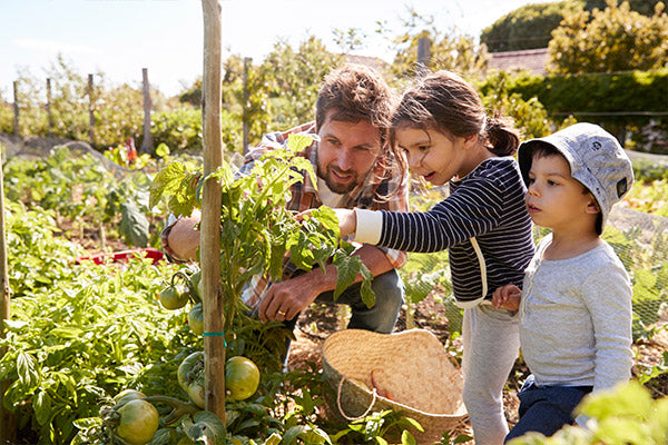 Young father teaching his two young kids how to garden.