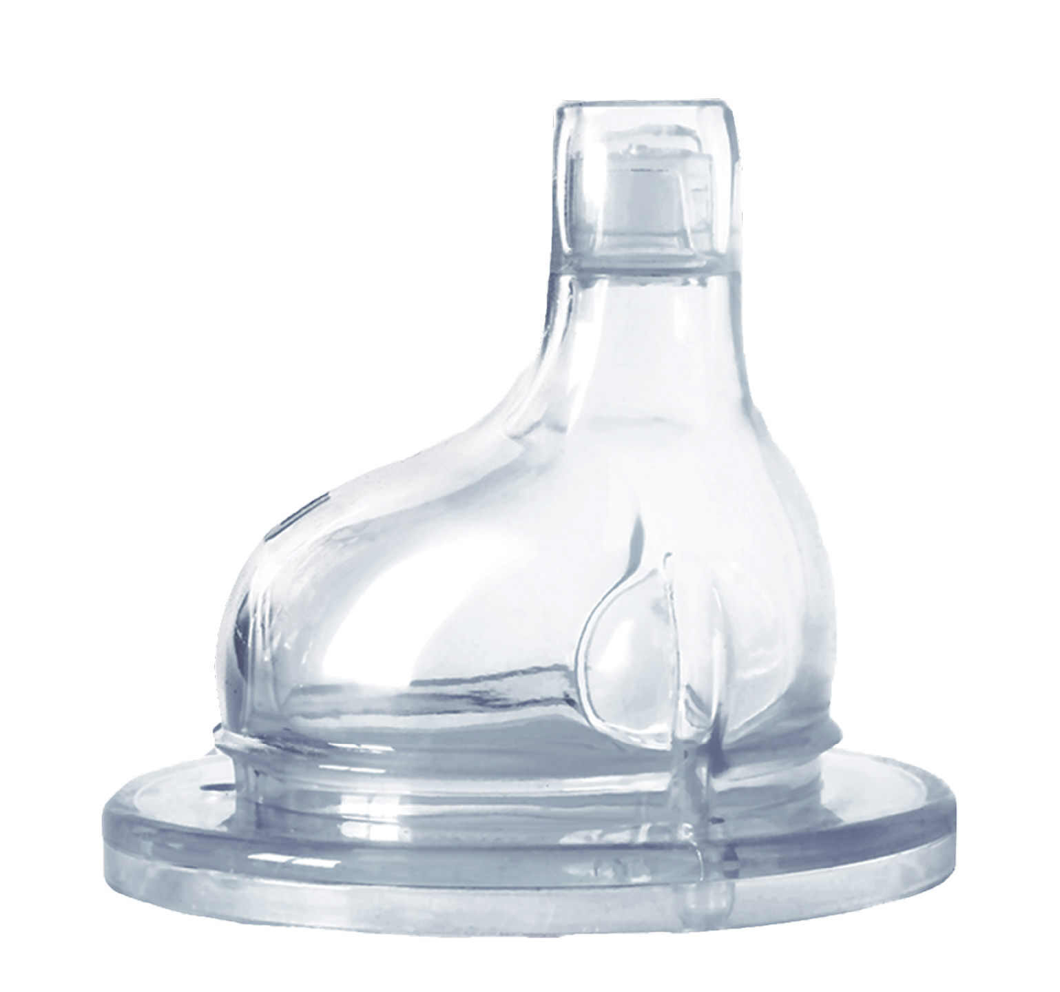 bottle lid