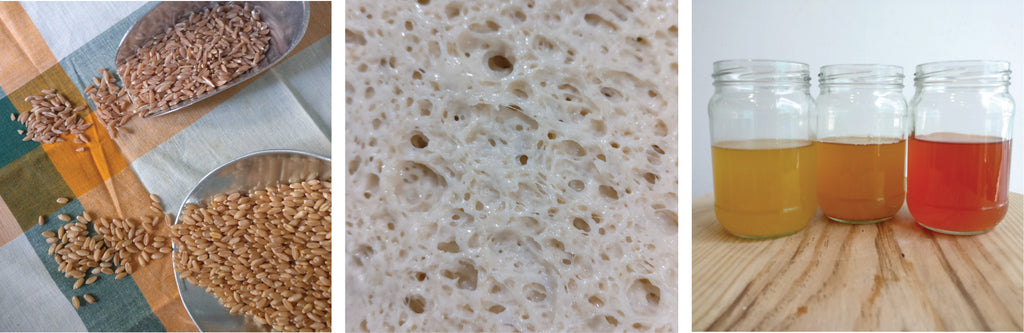 Images of fermentation at Sour House