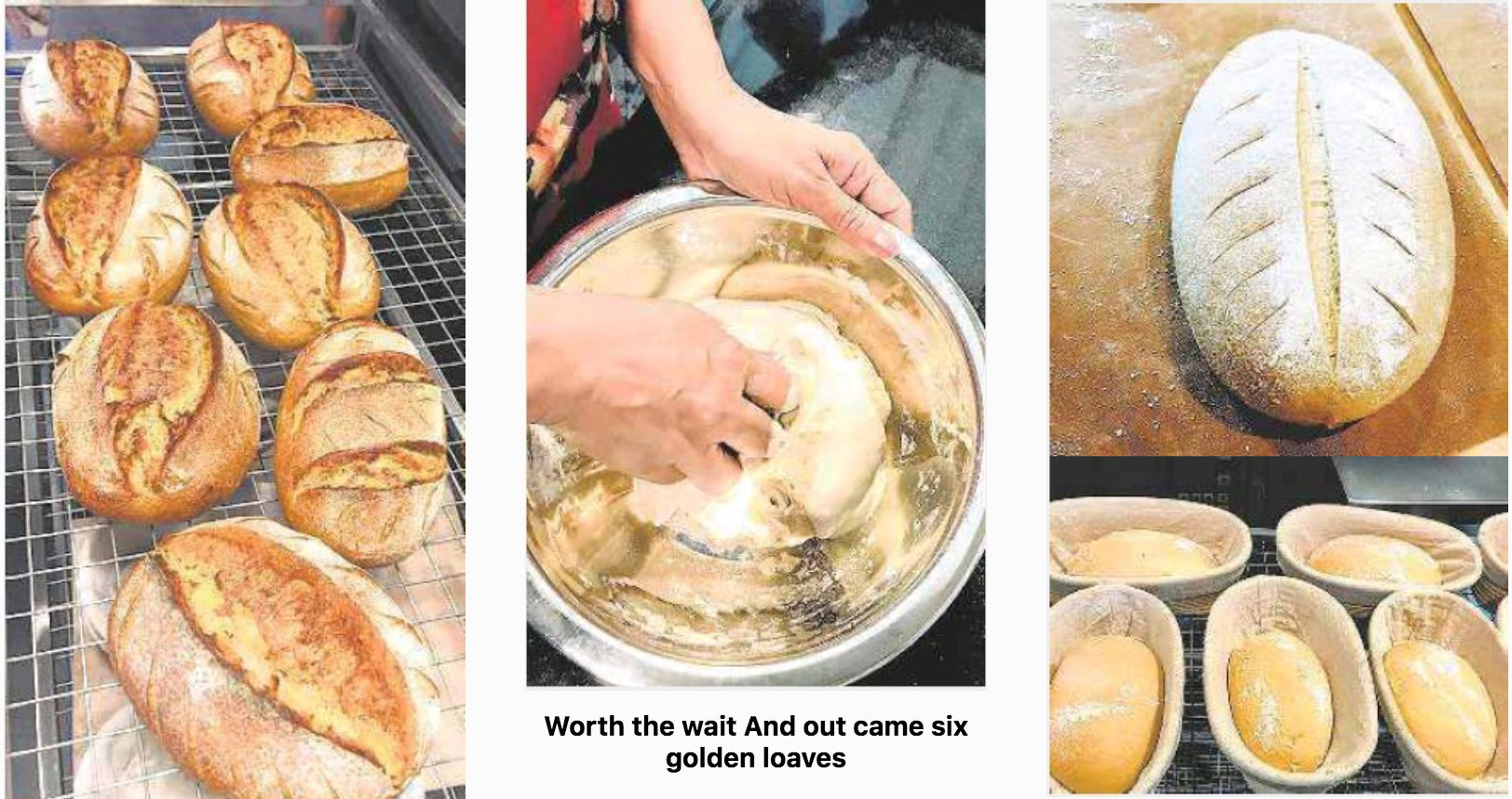 The 'Knead' to Bake images