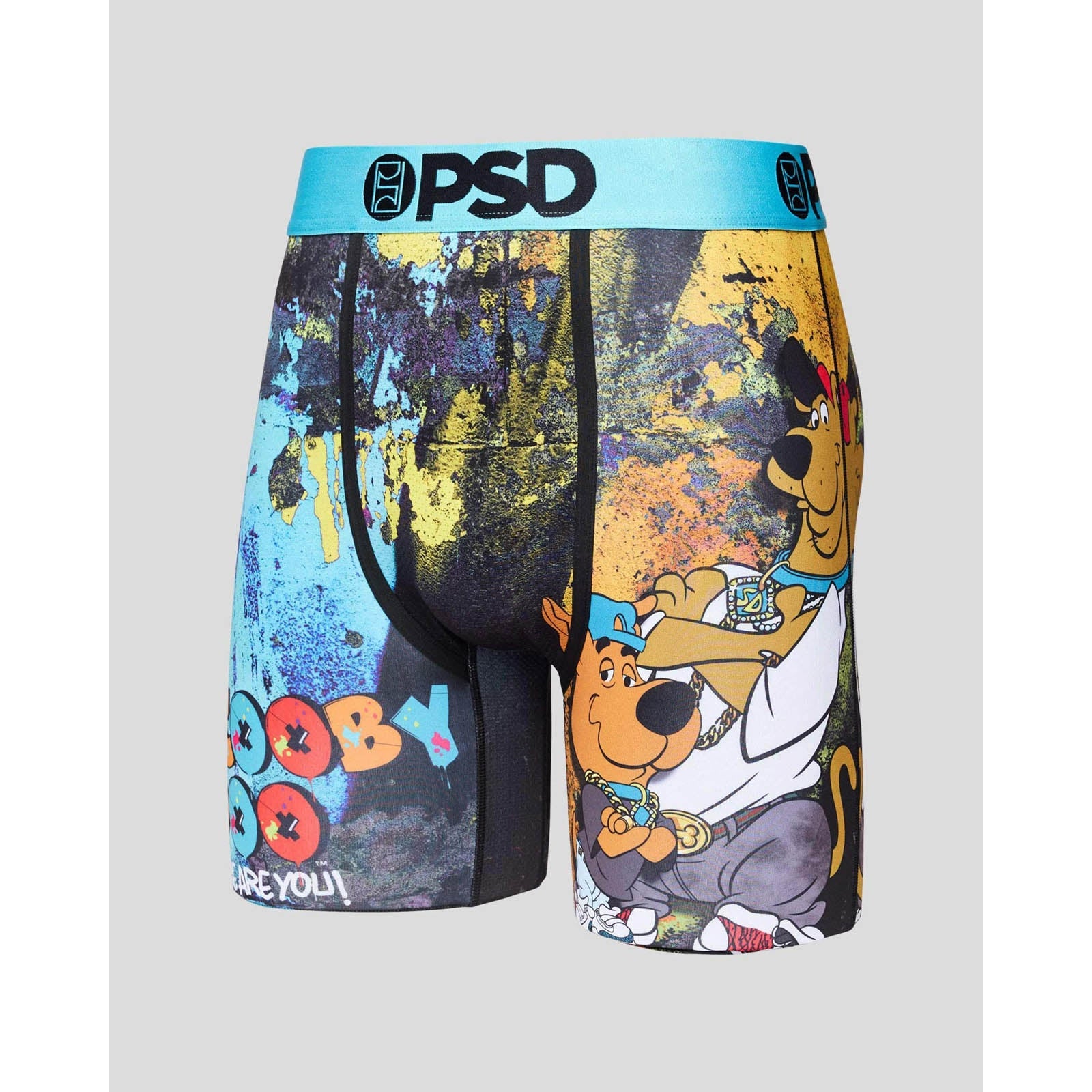 PSD Rick and Morty I Am Mr. Nimbus Animated Underwear Boxer Briefs