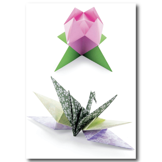 Beginners Book of Modular Origami Polyhedra: The Platonic Solids
