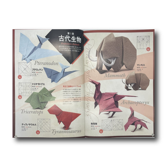 Elementary Origami Book and Standard Origami Paper Combo – Taro's Origami  Studio Store