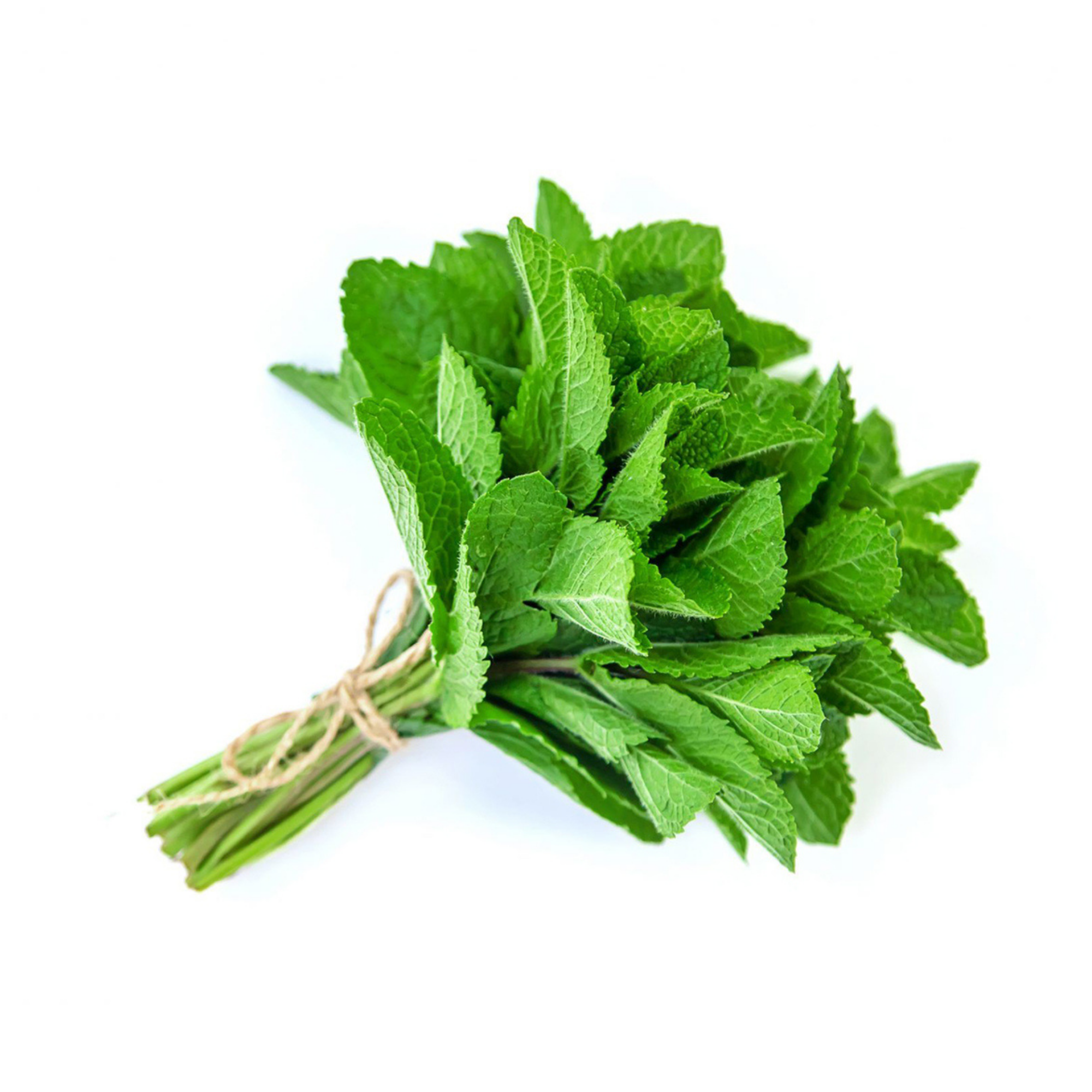 Mint leaves composition, flat lay, top view