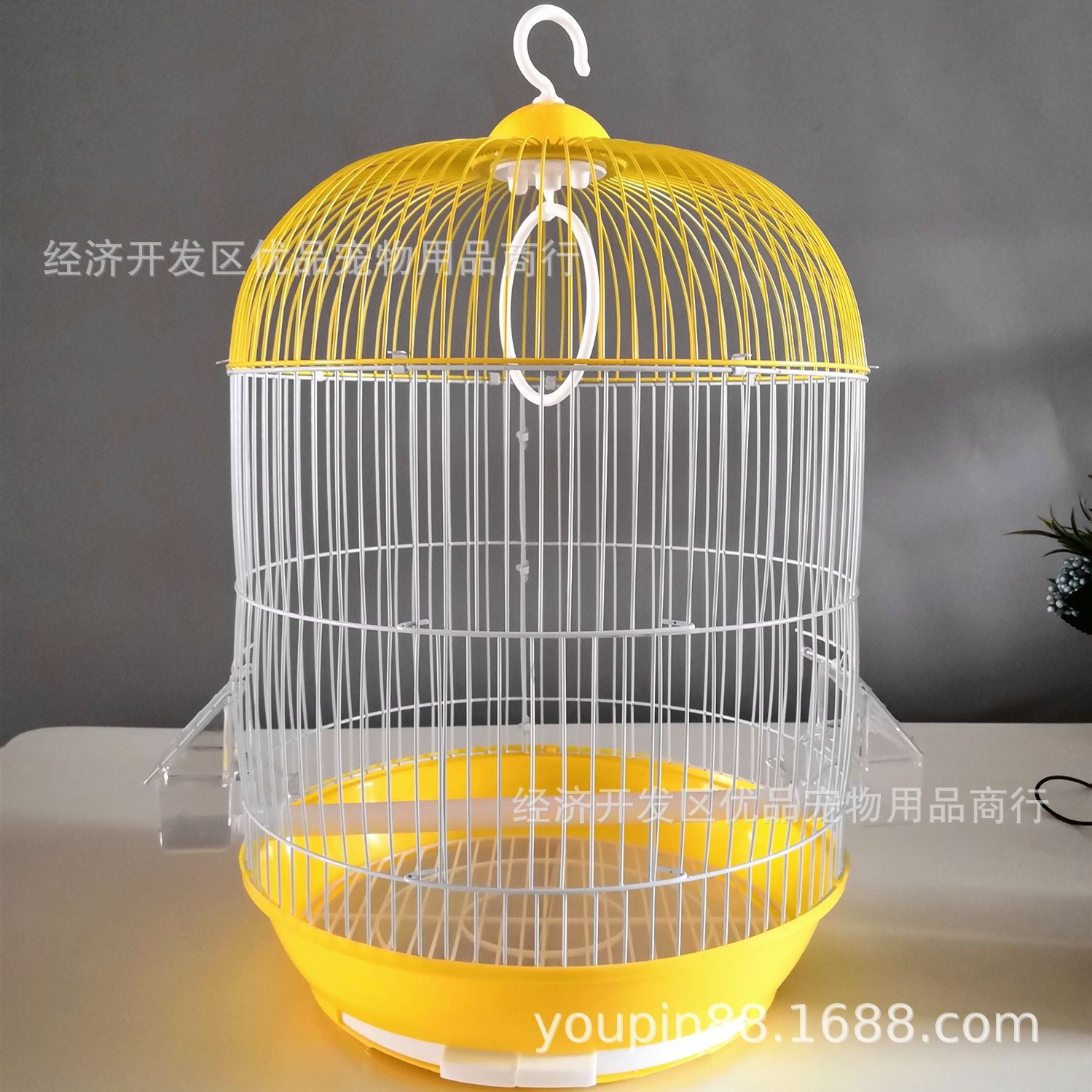 big round bird cage