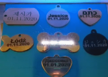 Personalized Cat's info