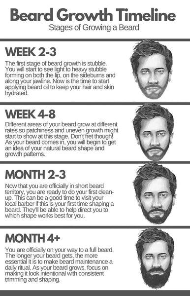 Beard Growth Timeline