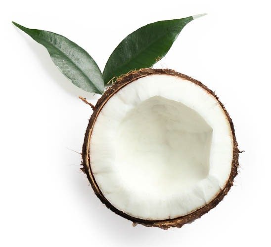 coconut oil