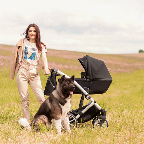 Mutter mit Hund und dem Kinderwagen Junama Space auf einem Feld