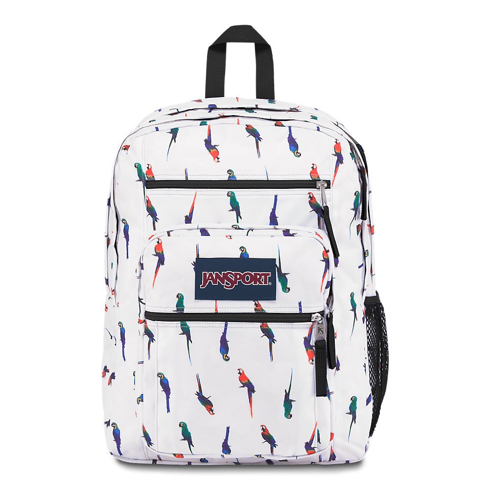jansport backpack cherry blossom