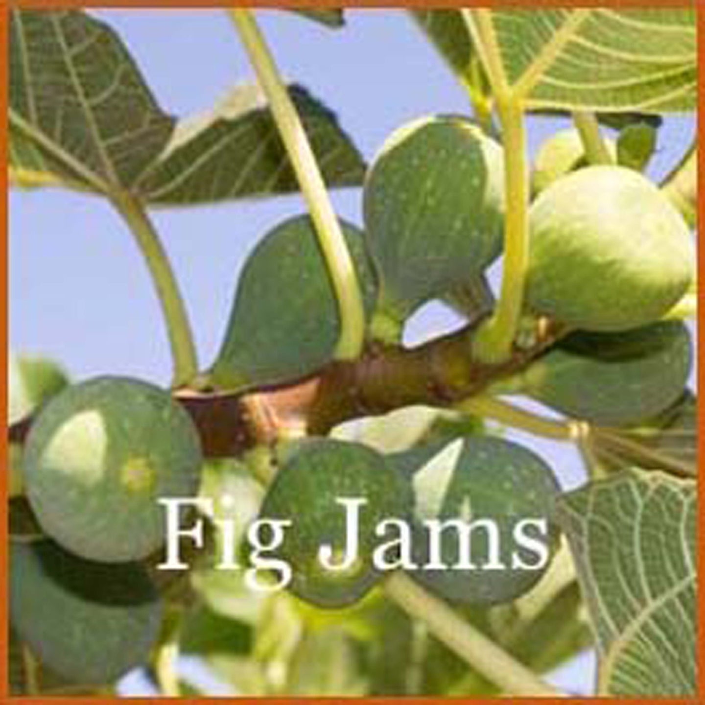 figs in urdu