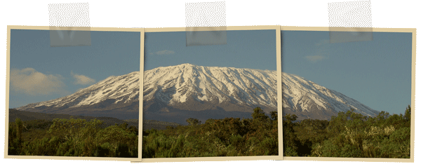 tanzania, peaberry, african coffee, kilimanjaro coffee, green coffee buyer, Mlama Estate,kilimanjaro-lemosho-panorama