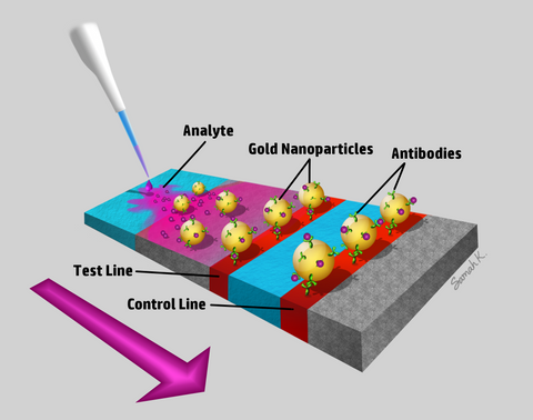 NanoHybrids AuNP for Lateral Flow Tests