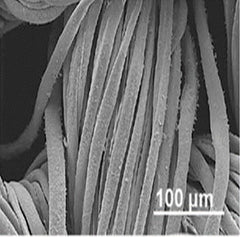 SEM Image of Nanostructured Copper-laden Cotton