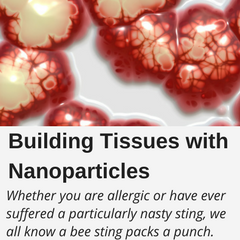 Building Tissues with Nanoparticles