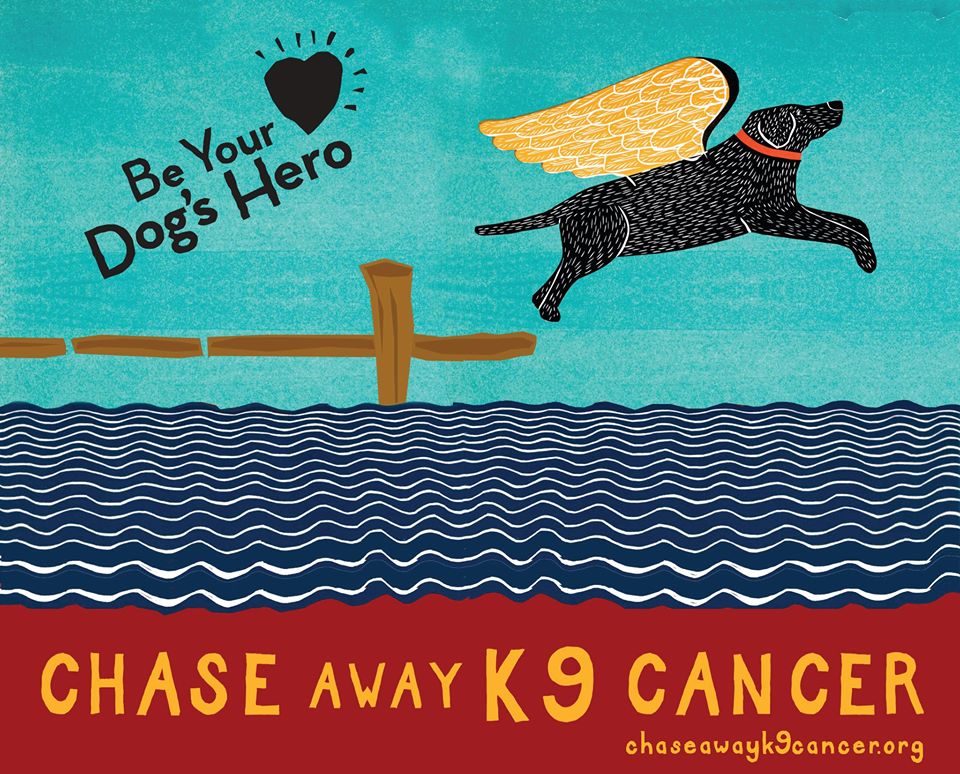 Chase Away K9 Cancer Logo