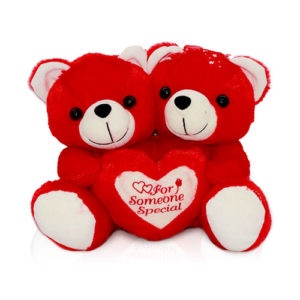 Teddy bear, Soft toy for someone 