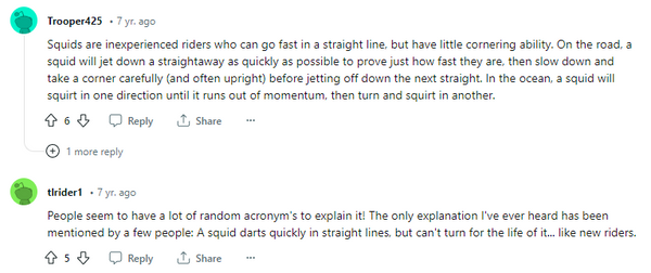 reddit post with squid motorcycle term explanation