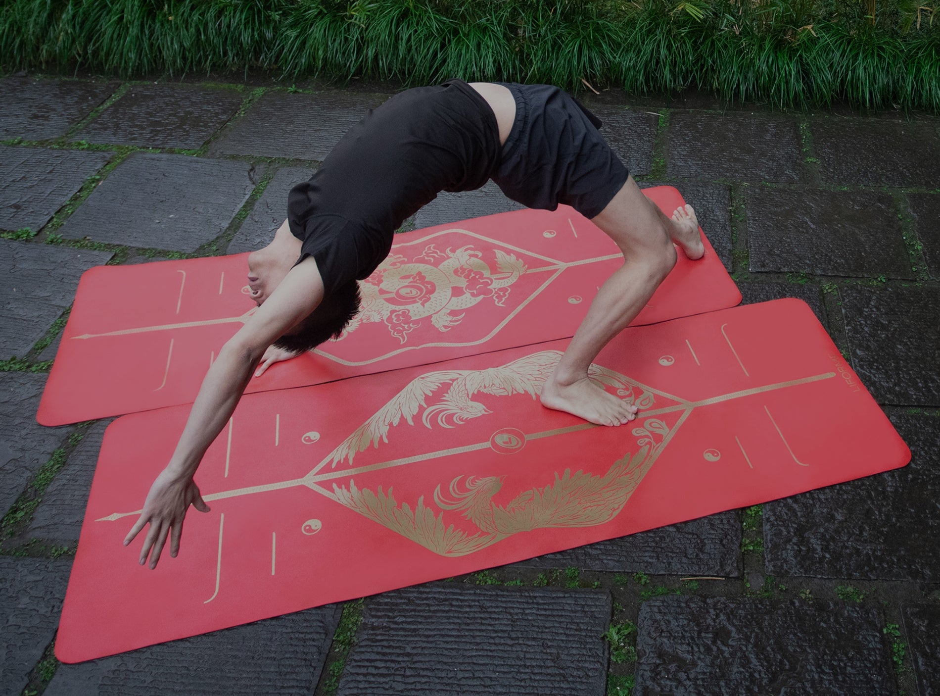 Zodiac Animals Yoga Mat Collection | Shop at Liforme