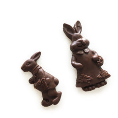 Image of chocolate solid flat mini bunny duo