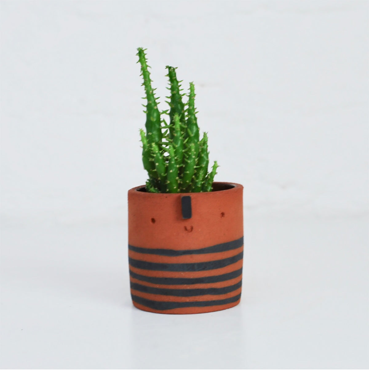 Atelier Stella - Mini succulent pot // terracotta & black stripe