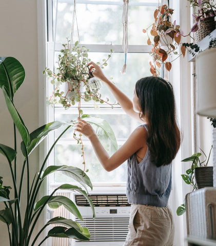 Fensterbank Deko: Ein kleiner Dschungel in unserer Wohnung  Fensterbank  deko, Wohnzimmer pflanzen, Fensterbank dekorieren