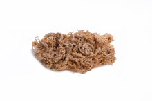 Load image into Gallery viewer, Dried Sea Moss 3oz (Limited Stock)
