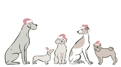 Dog Illustrattions Christmas Gifts Presents Organic Natural