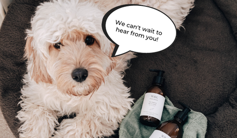 Wild For Dogs Organic Natural Vegan Best Dog Shampoo Best Conditioner Sustainable Cruelty Free