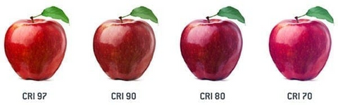 Picture of four red apples showing the effect of different CRI values on colour. 