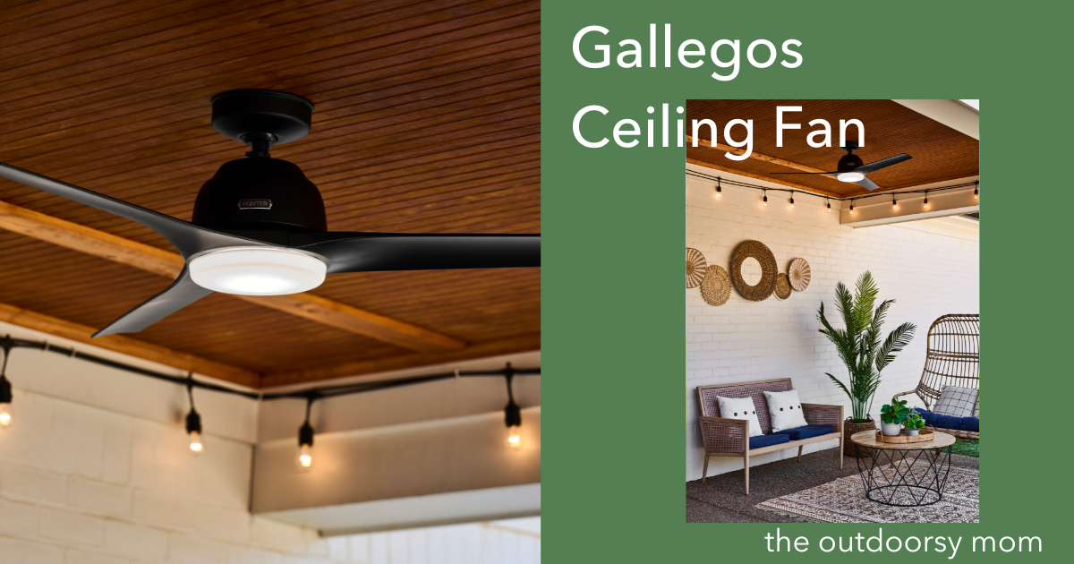 Gallegos Ceiling Fan