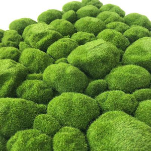 Chartreuse Mood Moss Pad