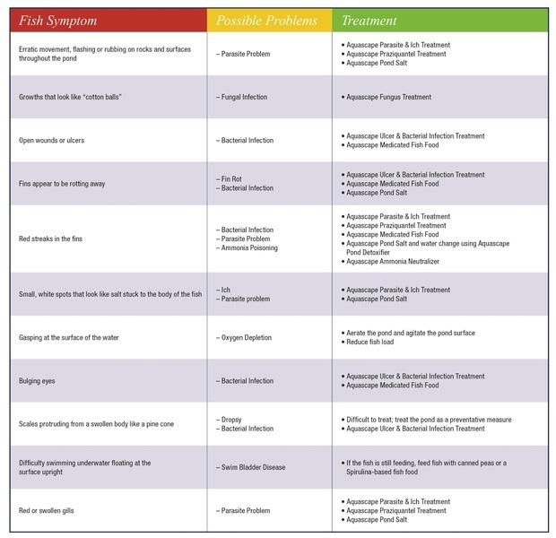 Aquascape® Fish Disease & Infection Treatment - Practical Garden Ponds
