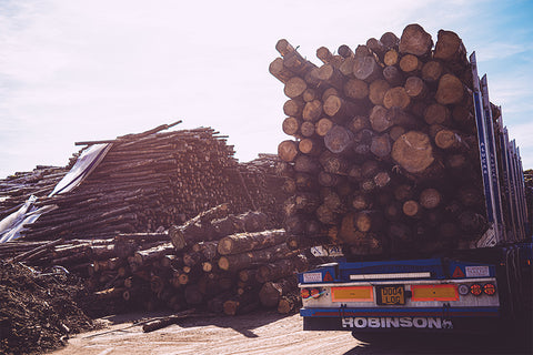 Logs for sale Aberdeenshire
