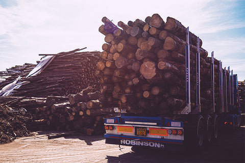 Logs for sale East Sussex