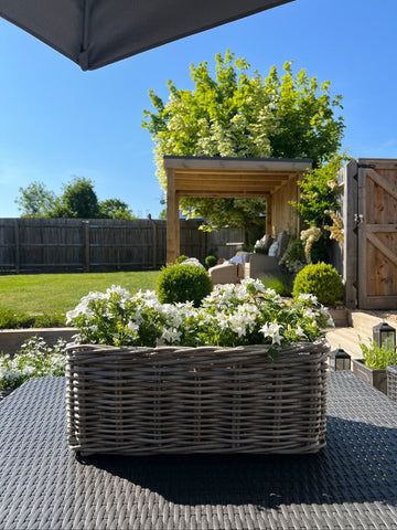 rectangle rattan planter with zinc insert 