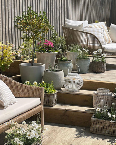patio steps and rattan planters 